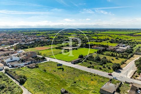 Terra a Campos, Mallorca, Campos - € 530.000 | Ref: VPM2603002 - foto 1