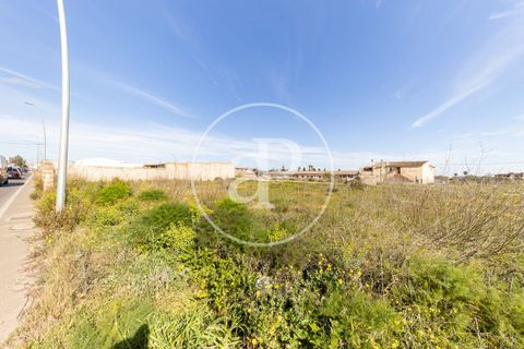 Terra a Campos, Mallorca, Campos - € 530.000 | Ref: VPM2603002 - foto 6