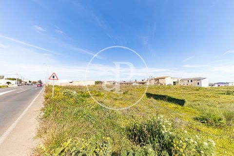 Terra a Campos, Mallorca, Campos - € 530.000 | Ref: VPM2603002 - foto 7