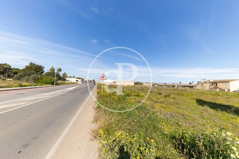 Terra a Campos, Mallorca, Campos - € 530.000 | Ref: VPM2603002 - foto 8