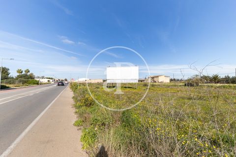 Terra a Campos, Mallorca, Campos - € 530.000 | Ref: VPM2603002 - foto 9