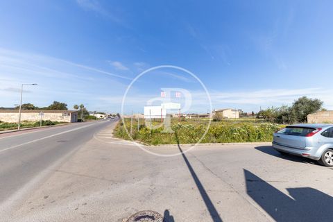 Terra a Campos, Mallorca, Campos - € 530.000 | Ref: VPM2603002 - foto 10