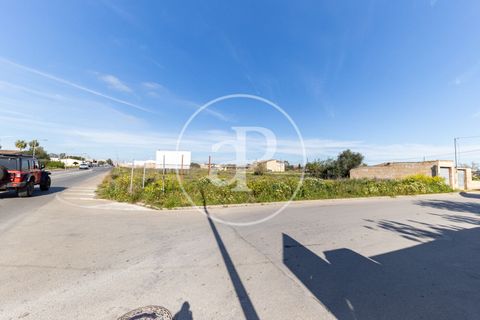 Terra a Campos, Mallorca, Campos - € 530.000 | Ref: VPM2603002 - foto 11