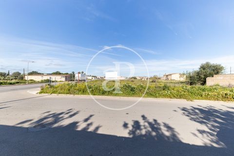 Terra a Campos, Mallorca, Campos - € 530.000 | Ref: VPM2603002 - foto 12