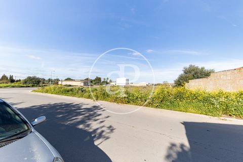 Terra a Campos, Mallorca, Campos - € 530.000 | Ref: VPM2603002 - foto 13