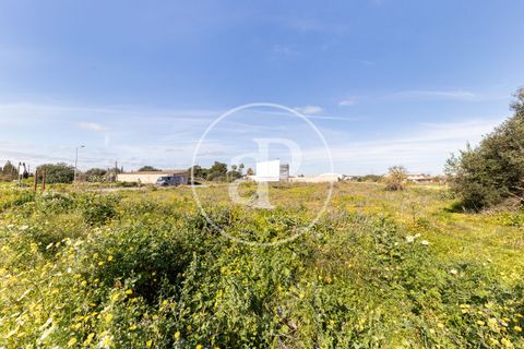 Terra a Campos, Mallorca, Campos - € 530.000 | Ref: VPM2603002 - foto 14