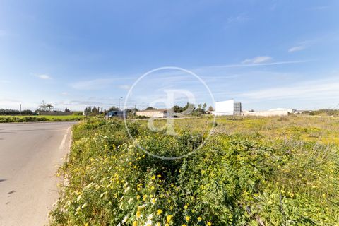 Terra a Campos, Mallorca, Campos - € 530.000 | Ref: VPM2603002 - foto 15