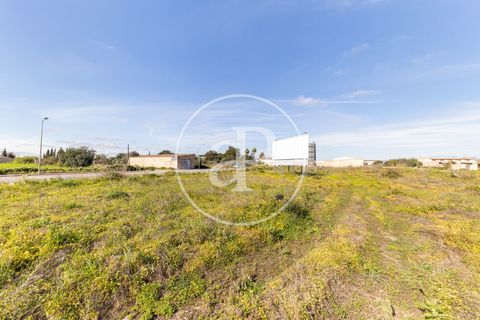 Terra a Campos, Mallorca, Campos - € 530.000 | Ref: VPM2603002 - foto 16
