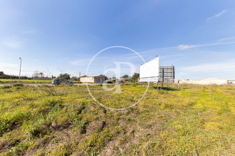 Terra a Campos, Mallorca, Campos - € 530.000 | Ref: VPM2603002 - foto 17