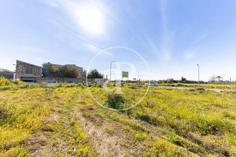 Terra a Campos, Mallorca, Campos - € 530.000 | Ref: VPM2603002 - foto 18