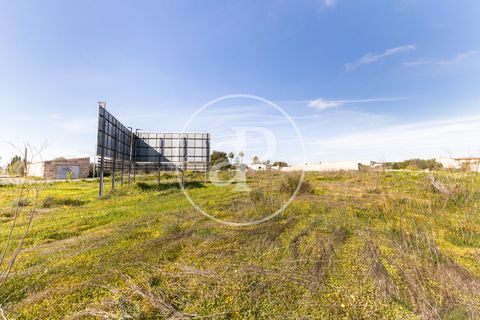 Terra a Campos, Mallorca, Campos - € 530.000 | Ref: VPM2603002 - foto 19