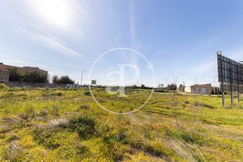 Terra a Campos, Mallorca, Campos - € 530.000 | Ref: VPM2603002 - foto 20