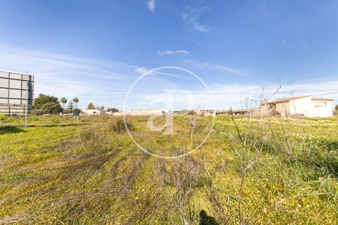 Terra a Campos, Mallorca, Campos - € 530.000 | Ref: VPM2603002 - foto 21