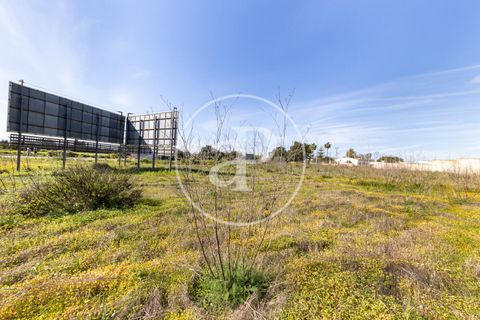 Terra a Campos, Mallorca, Campos - € 530.000 | Ref: VPM2603002 - foto 24