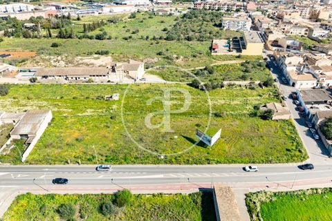 Terra a Campos, Mallorca, Campos - € 530.000 | Ref: VPM2603002 - foto 25