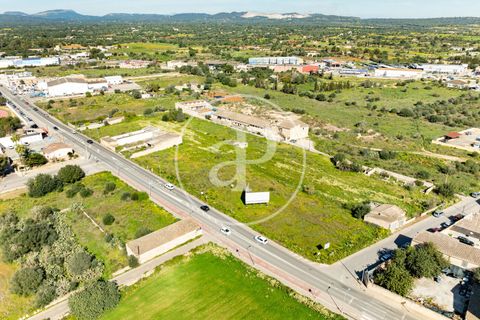 Terra a Campos, Mallorca, Campos - € 530.000 | Ref: VPM2603002 - foto 26