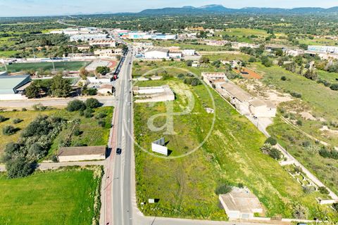 Terra a Campos, Mallorca, Campos - € 530.000 | Ref: VPM2603002 - foto 27