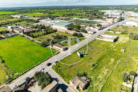 Terra a Campos, Mallorca, Campos - € 530.000 | Ref: VPM2603002 - foto 28