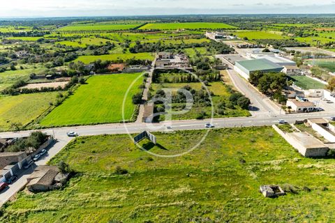 Terra a Campos, Mallorca, Campos - € 530.000 | Ref: VPM2603002 - foto 29