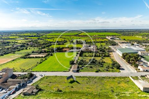 Terra a Campos, Mallorca, Campos - € 530.000 | Ref: VPM2603002 - foto 30