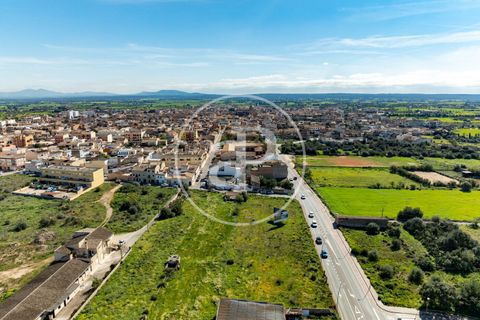 Terra a Campos, Mallorca, Campos - € 530.000 | Ref: VPM2603002 - foto 31