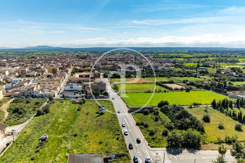 Terra a Campos, Mallorca, Campos - € 530.000 | Ref: VPM2603002 - foto 32