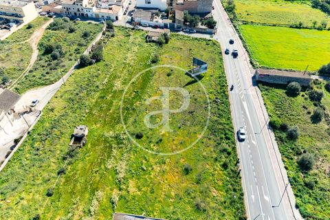 Terra a Campos, Mallorca, Campos - € 530.000 | Ref: VPM2603002 - foto 33