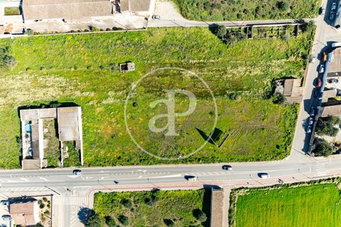 Terra a Campos, Mallorca, Campos - € 530.000 | Ref: VPM2603002 - foto 34