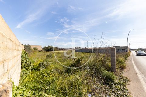 Helårsgrund i Campos, Mallorca, Campos - € 270.000 | Ref: VPM2603001 - foto 6