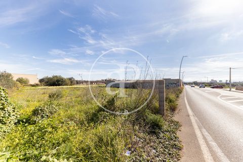 Helårsgrund i Campos, Mallorca, Campos - € 270.000 | Ref: VPM2603001 - foto 7