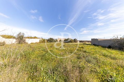 Helårsgrund i Campos, Mallorca, Campos - € 270.000 | Ref: VPM2603001 - foto 8