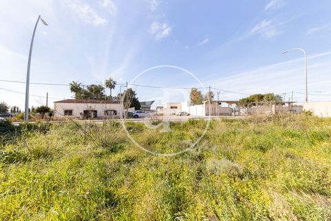 Helårsgrund i Campos, Mallorca, Campos - € 270.000 | Ref: VPM2603001 - foto 9