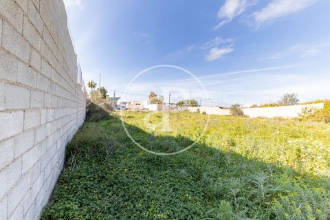 Helårsgrund i Campos, Mallorca, Campos - € 270.000 | Ref: VPM2603001 - foto 10