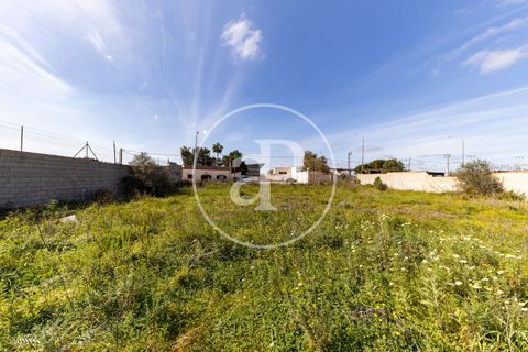 Helårsgrund i Campos, Mallorca, Campos - € 270.000 | Ref: VPM2603001 - foto 11