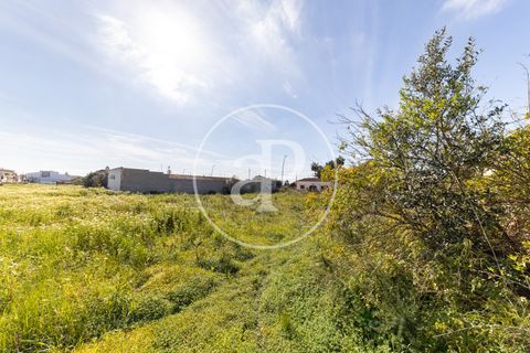 Helårsgrund i Campos, Mallorca, Campos - € 270.000 | Ref: VPM2603001 - foto 12