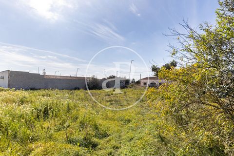 Helårsgrund i Campos, Mallorca, Campos - € 270.000 | Ref: VPM2603001 - foto 13