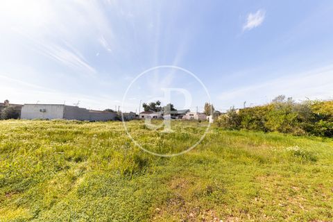Helårsgrund i Campos, Mallorca, Campos - € 270.000 | Ref: VPM2603001 - foto 14