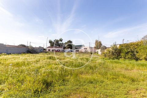 Helårsgrund i Campos, Mallorca, Campos - € 270.000 | Ref: VPM2603001 - foto 15