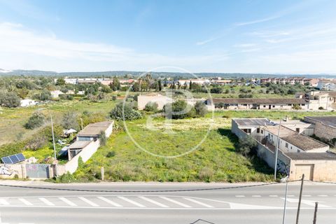 Helårsgrund i Campos, Mallorca, Campos - € 270.000 | Ref: VPM2603001 - foto 16