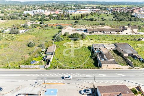 Helårsgrund i Campos, Mallorca, Campos - € 270.000 | Ref: VPM2603001 - foto 17