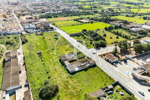 Helårsgrund i Campos, Mallorca, Campos - € 270.000 | Ref: VPM2603001 - foto 21