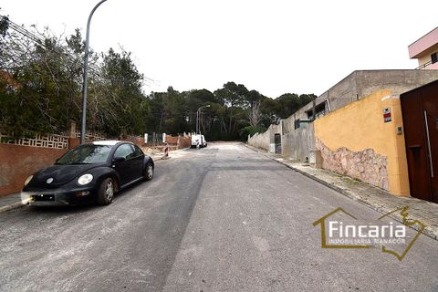Terra a Cala Ratjada, Mallorca, Cala Ratjada - € 480.000 | Ref: VCR-2070 - foto 6