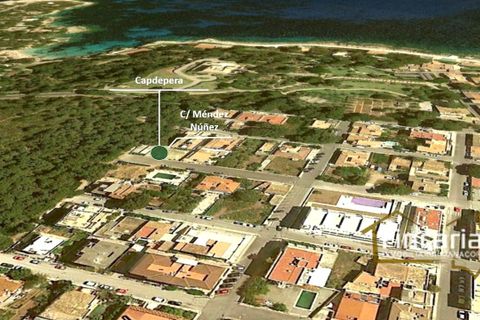 Terra a Cala Ratjada, Mallorca, Cala Ratjada - € 480.000 | Ref: VCR-2070 - foto 8
