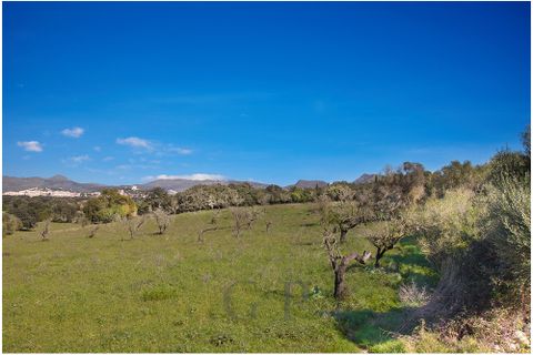 Helårsgrund i Arta, Mallorca, Arta - € 825.000 | Ref: G&P_001349 - foto 6