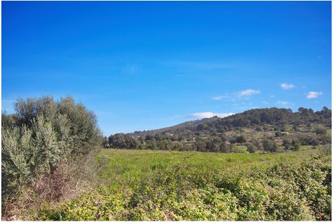 Helårsgrund i Arta, Mallorca, Arta - € 825.000 | Ref: G&P_001349 - foto 7