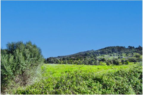 Helårsgrund i Arta, Mallorca, Arta - € 825.000 | Ref: G&P_001349 - foto 12