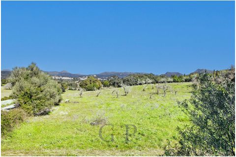 Helårsgrund i Arta, Mallorca, Arta - € 825.000 | Ref: G&P_001349 - foto 13