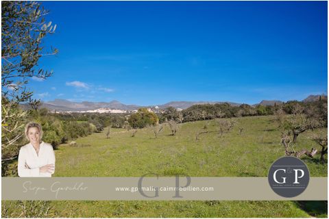 Helårsgrund i Arta, Mallorca, Arta - € 825.000 | Ref: G&P_001349 - foto 1
