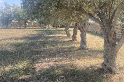 Villa i Modica, Ragusa, Modica - € 195.000 | Ref: V 174 - foto 47