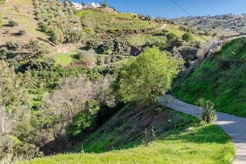 Finca i Archez, Malaga, Archez - € 375.000 | Ref: CP778 - foto 21